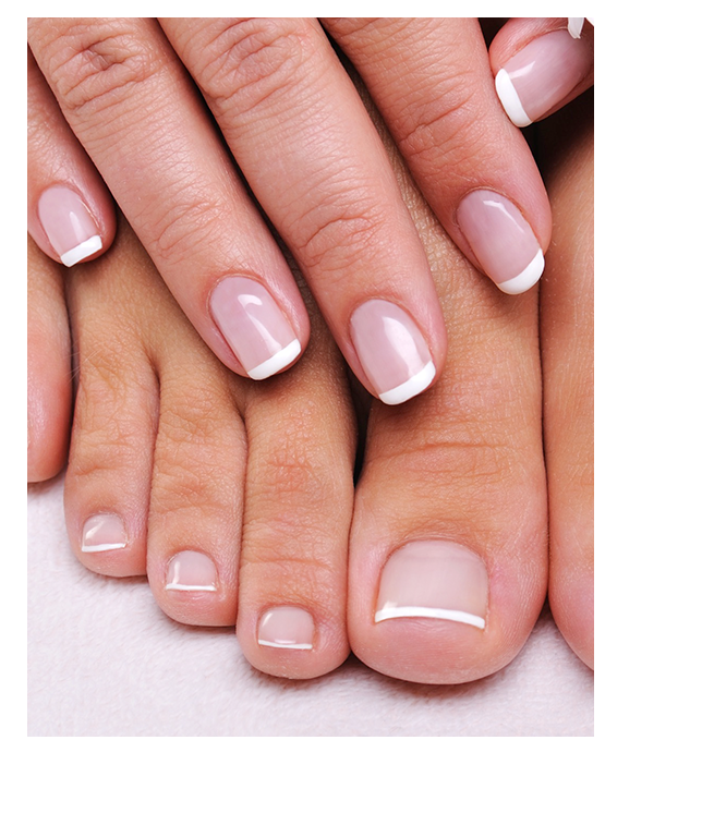 Toes nails close-up
